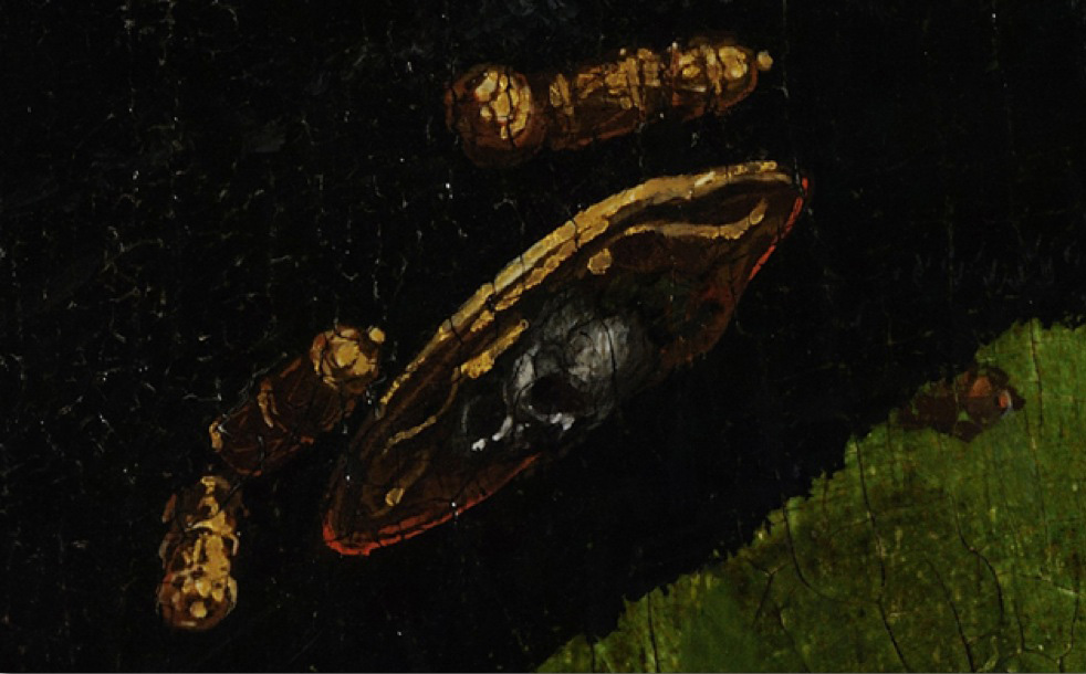Tête de mort, béret de Jean de Dinteville