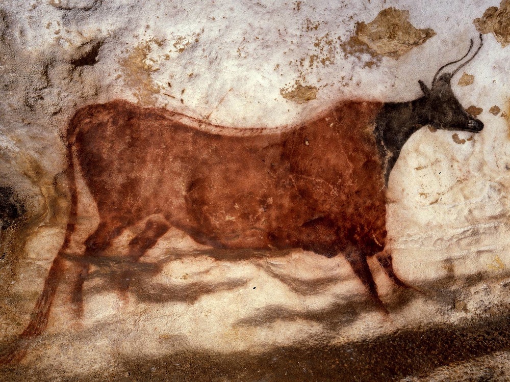 Vache ocre rouge