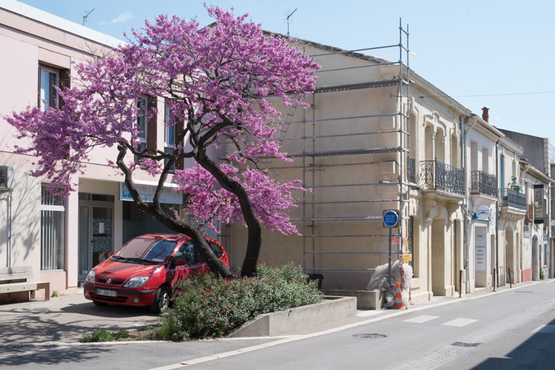 Au départ du projet, un mur pignon ingrat à Castelnau-le-Lez