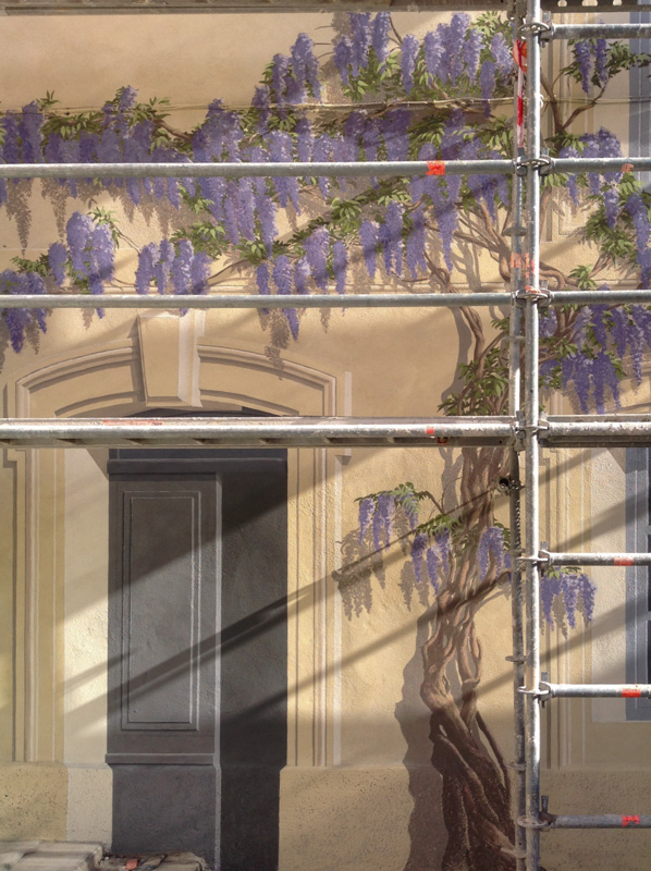 Une glycine sur le mur Voir d’autres photos ?
