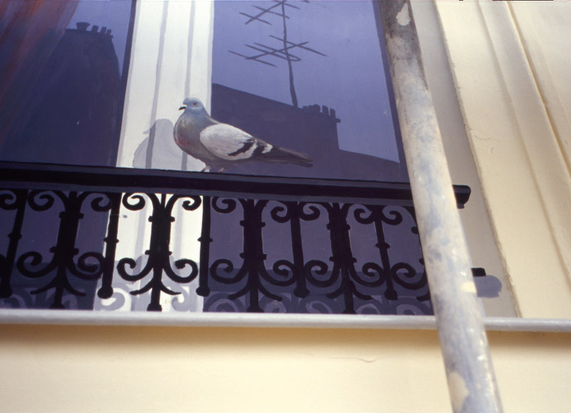 Fausse fenêtre et pigeon. Paris, rue Lepeu.