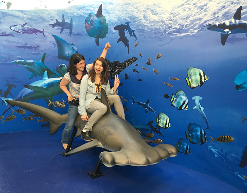 Juchées sur un requin-marteau