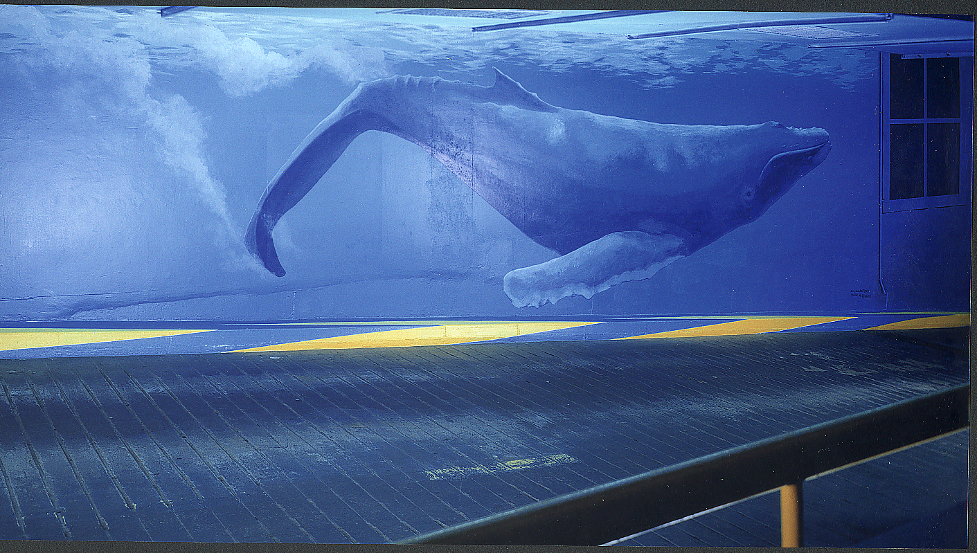 Baleine à bosse peinte en trompe-l'œil sous-marin sur un mur intérieur.